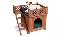 How to pick the best dog house?
