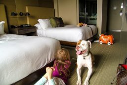 10 Reasons to Stay at Hotel La Jolla with Dogs | Pet Friendly Hotels