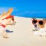 Pet friendly Condos In Destin, FL