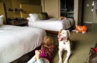 pet friendly hotels San Diego
