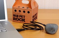 USB pet Rock